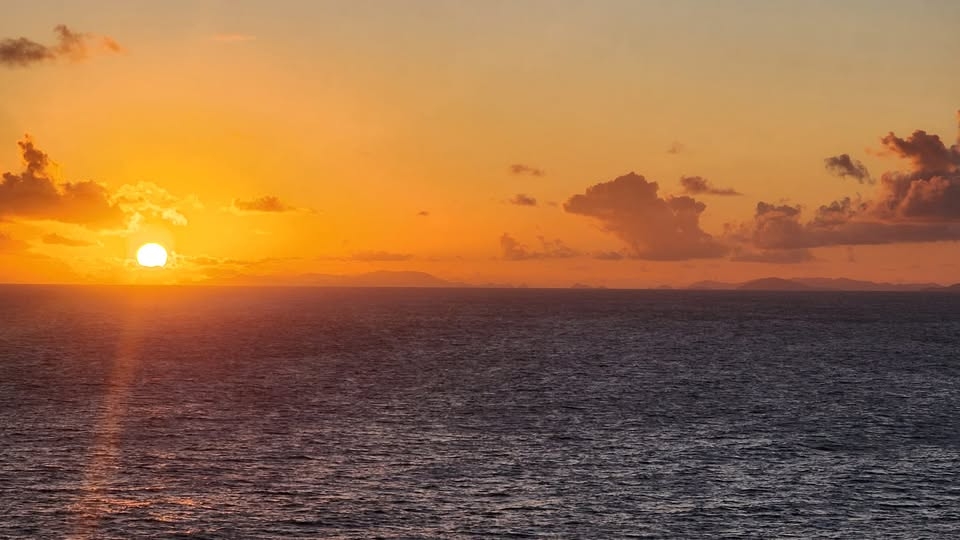 Cruise - 2024