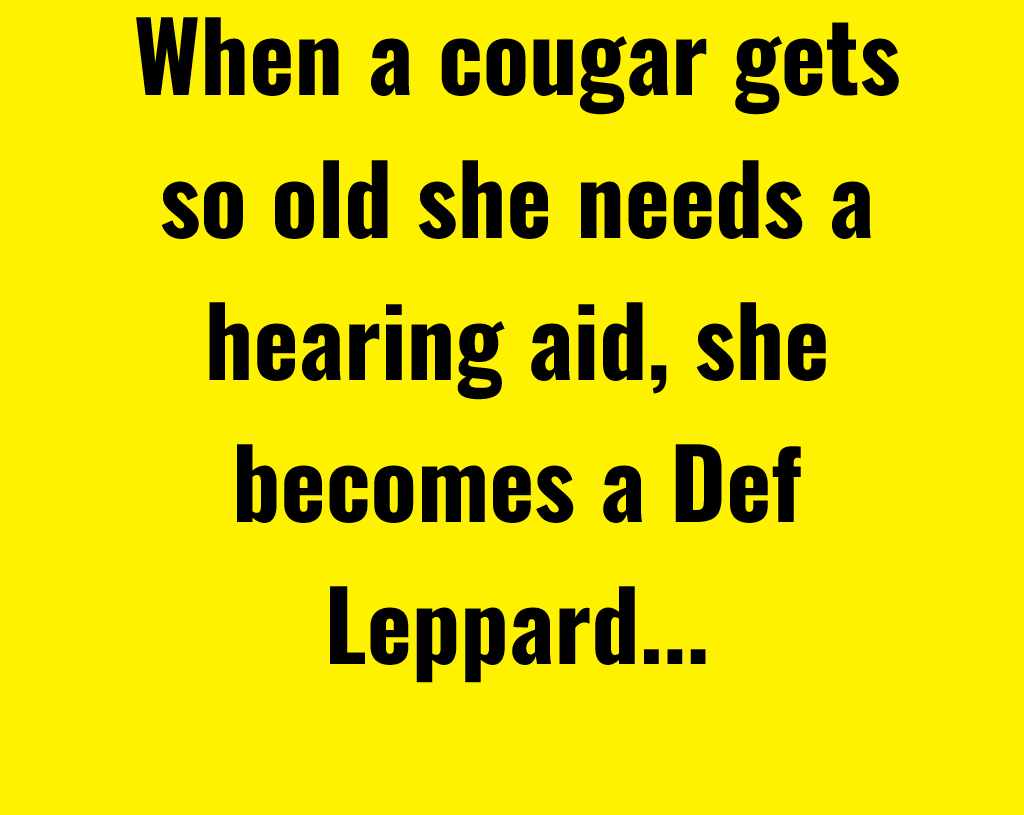 Old Cougar