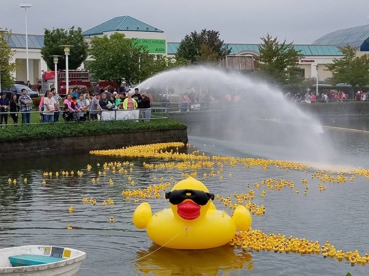 Rubber Ducky Race - Brandywine Town Center - 2016