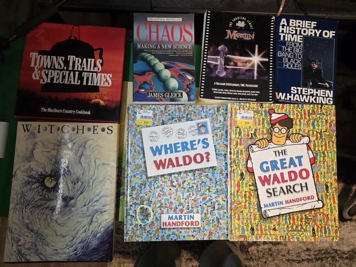 Cyan-E - Goodwill - Book Haul