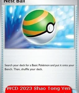 Air Balloon - Ascended Heroes (Pokemon)